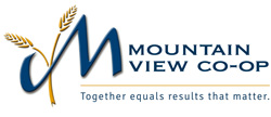 Logo_MountainView